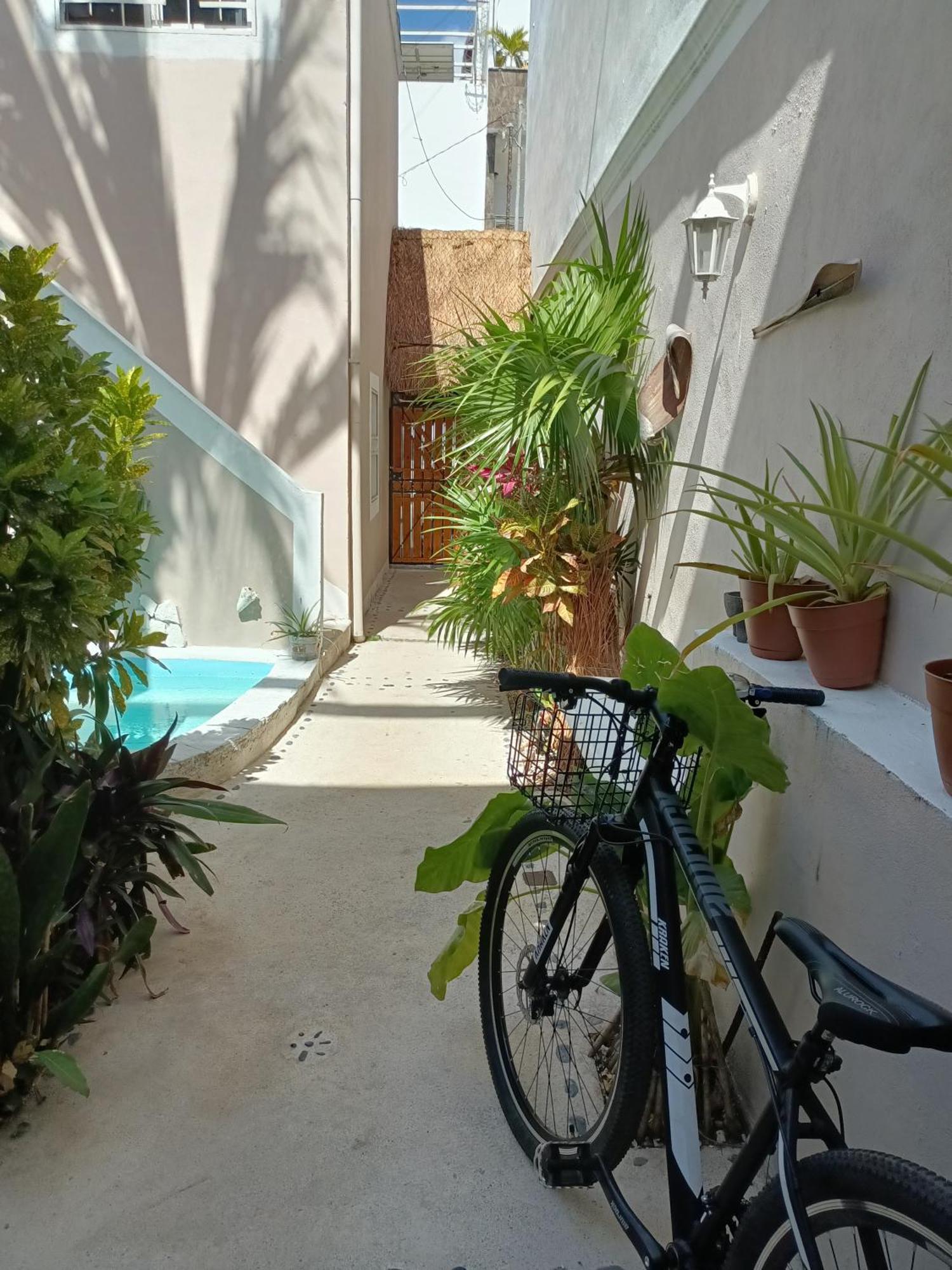 Kika Studios Playa del Carmen Kültér fotó