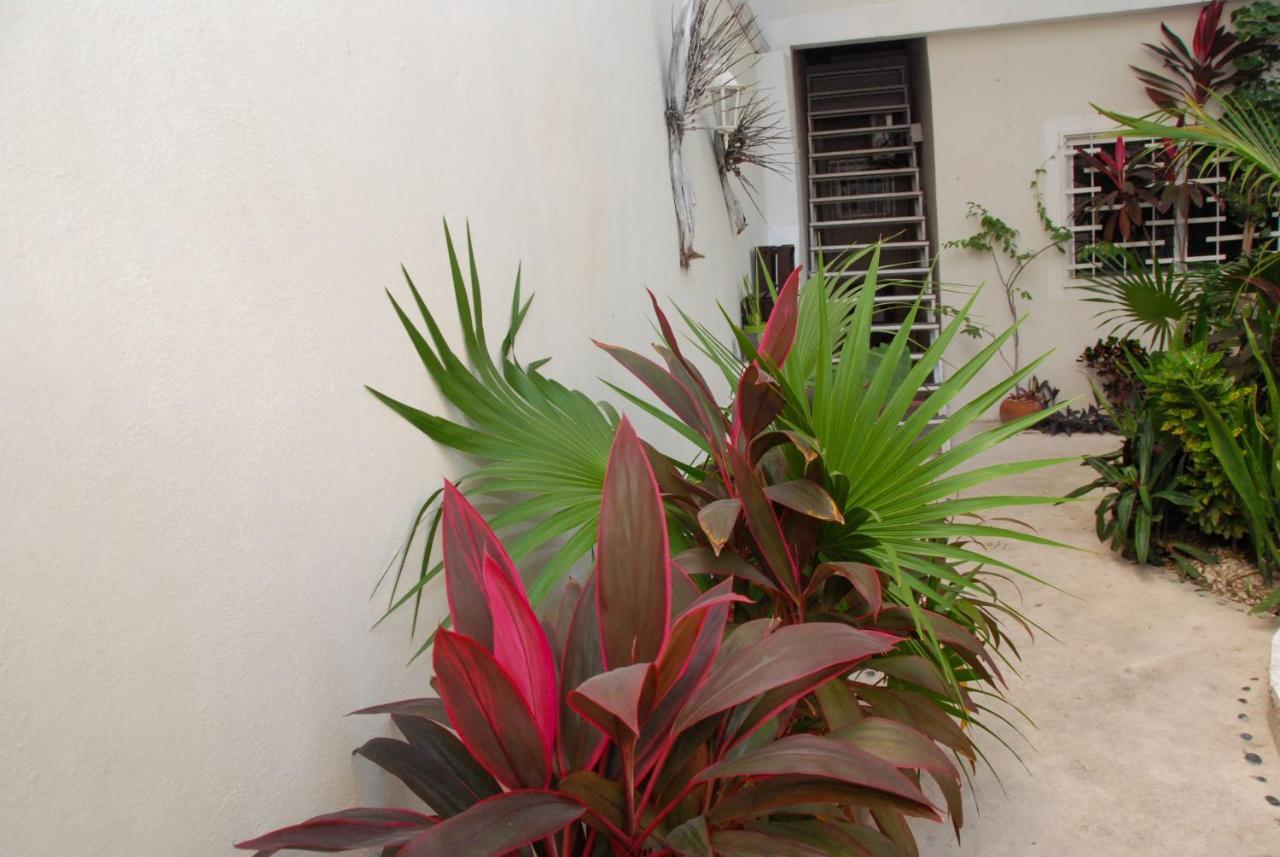 Kika Studios Playa del Carmen Kültér fotó